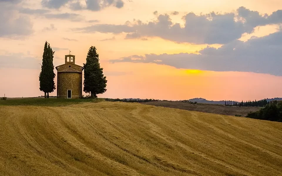 Tuscany wine hiking trails bolgheri