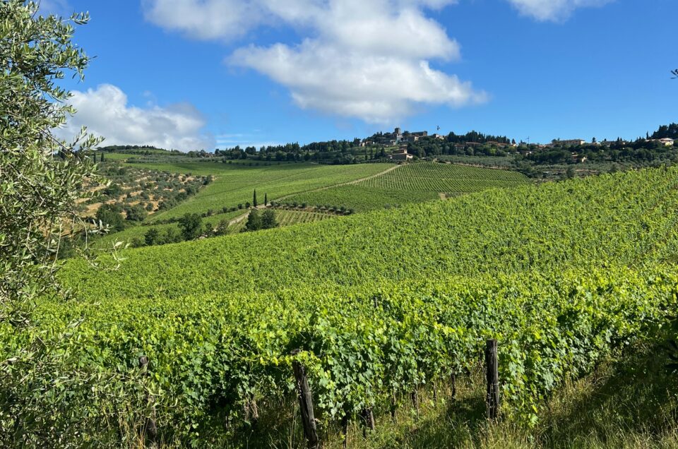 tuscany wine hiking trails